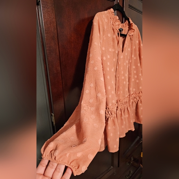 Rachel & Zoe XL Smocked Peplum Ruffled Swiss Dot Blouse Mandarin Collar NWOT - Picture 11 of 12